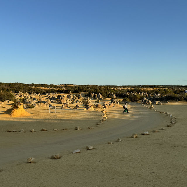  Pinnacles Desert：西澳大利亞的自然奇觀 🌵✨ 