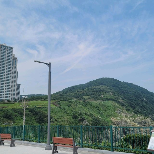 오륙도 스카이워크' 자연을 느낄 수 있는 시원한 곳