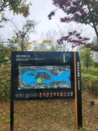 가을가을한 단풍 맛집 인천서구 청라 호수공원🌿