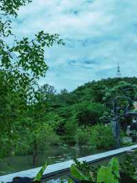 พญานาค แห่งเมืองลพบุรี 