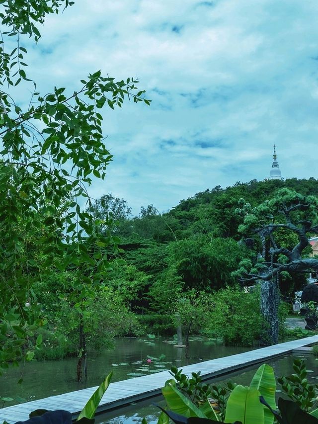 พญานาค แห่งเมืองลพบุรี 