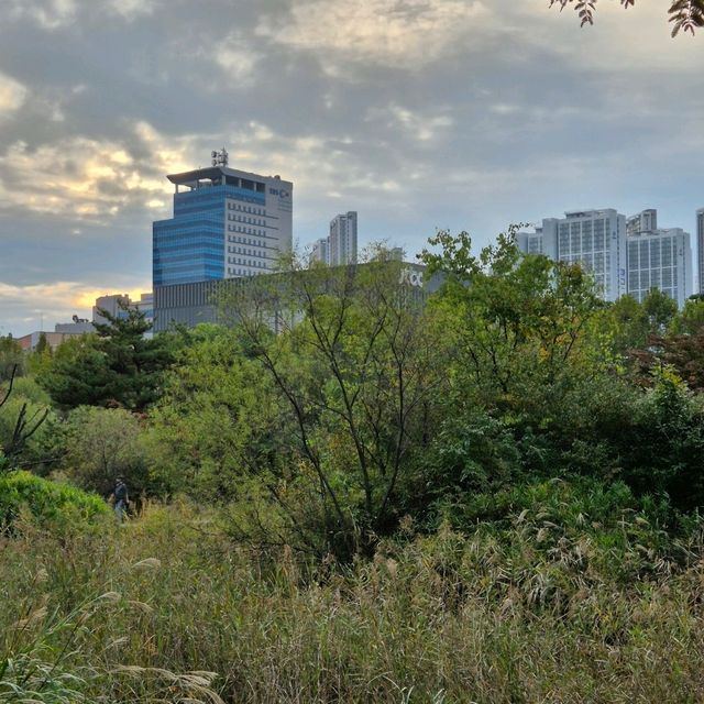 일산 데이트 추천