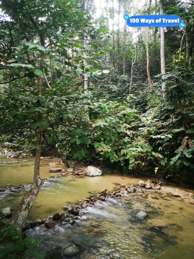 Taman Eko-Rimba Ulu Bendul, Perfect for Nature Enthusiasts