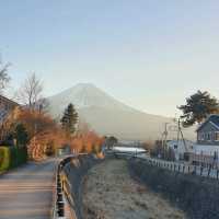 河口湖旅行欣賞絕美富士山景觀