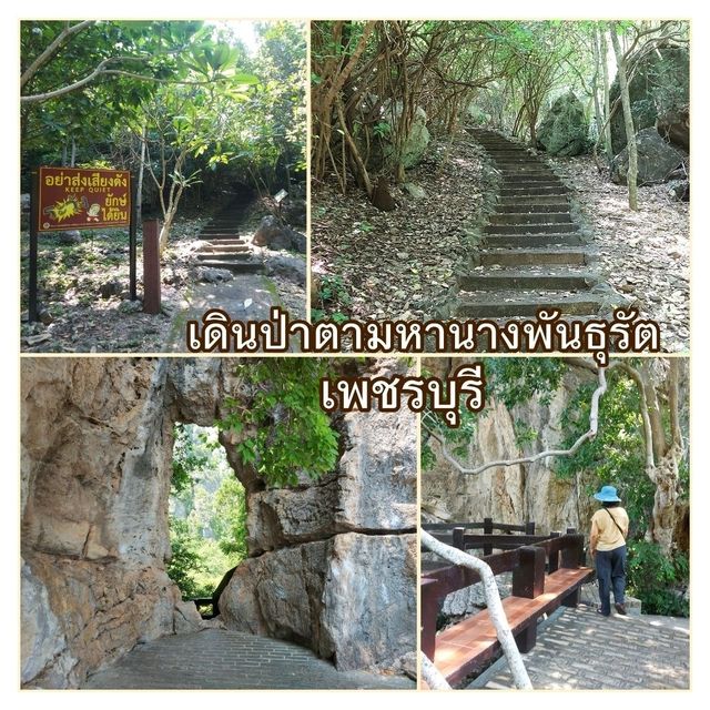 เดินป่าตามหานางพันธุรัต