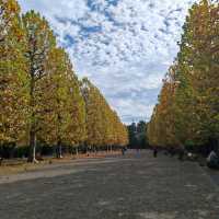 舍人公園：秋色如畫🍂🌳