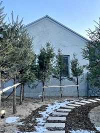 ☃️ 포근한 겨울 감성의 🩵강원도 눈꽃 겨울여행지 추천 🩵