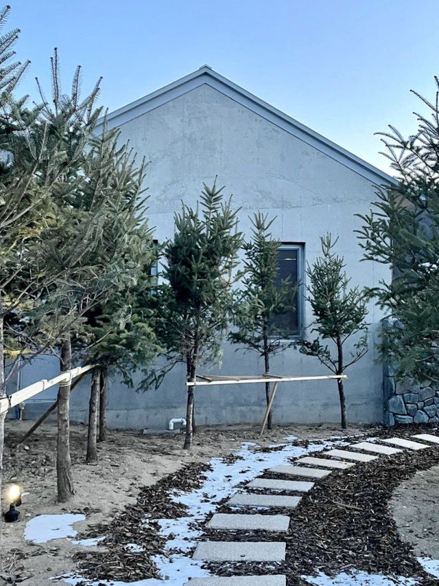 ☃️ 포근한 겨울 감성의 🩵강원도 눈꽃 겨울여행지 추천 🩵