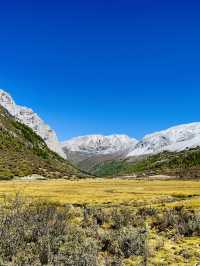 Yading Nature Reserve