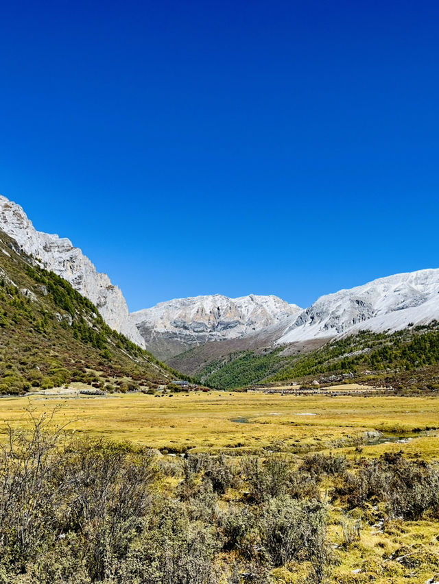 Yading Nature Reserve