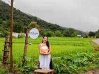 Ikigawa Home ที่พักน่ารักๆ บ่อเกลือ น่าน
