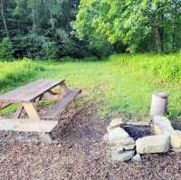 Planning a Camping Adventure in Taman Negara National Park