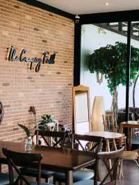 The Camping Field Cafe'