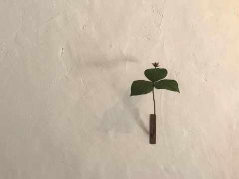 神奈川県・川崎市】special source atelier galleryでモリソン小林の