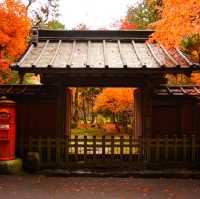 【栃木/日光】紅葉も美しい日光東照宮