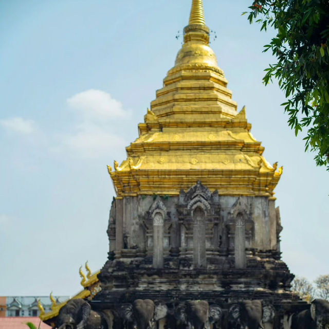 Timeless Grandeur: Exploring Wat Chedi Luang in Chiang Mai