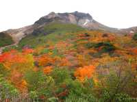 【栃木県】圧巻の紅葉絨毯と活火山！那須の茶臼岳