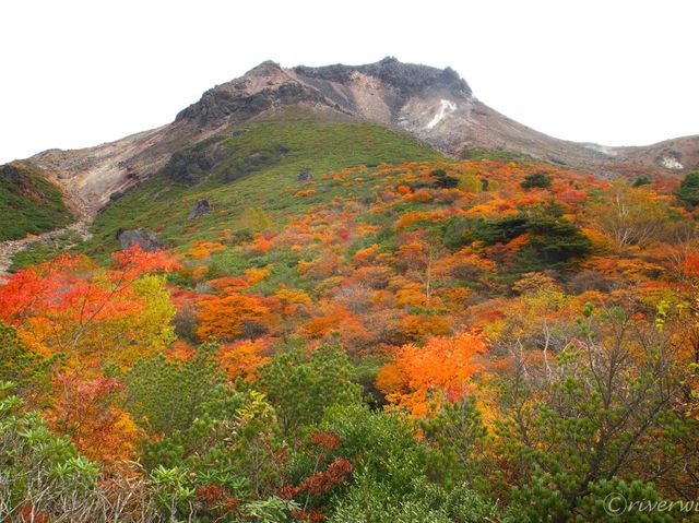 【栃木県】圧巻の紅葉絨毯と活火山！那須の茶臼岳