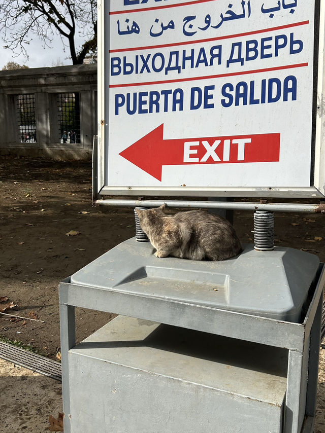 トルコ旅行🇹🇷