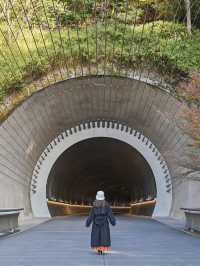 【滋賀】季節を感じる美術館！MIHO MUSEUM