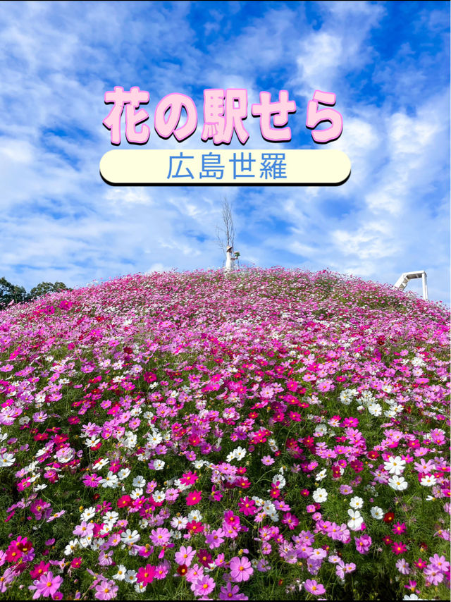 広島観光におすすめ☺️💐🌸百花繚乱🌼💐花の駅せら