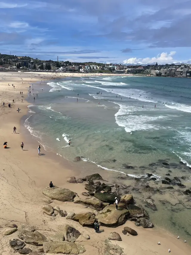 호주 시드니 아름다운 해변 본다이비치🏖️👙