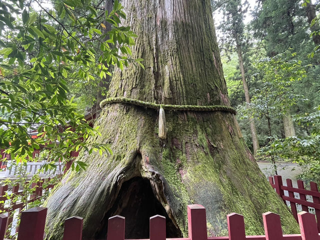 🇯🇵【神奈川県】最強パワースポット！箱根神社！⛩️
