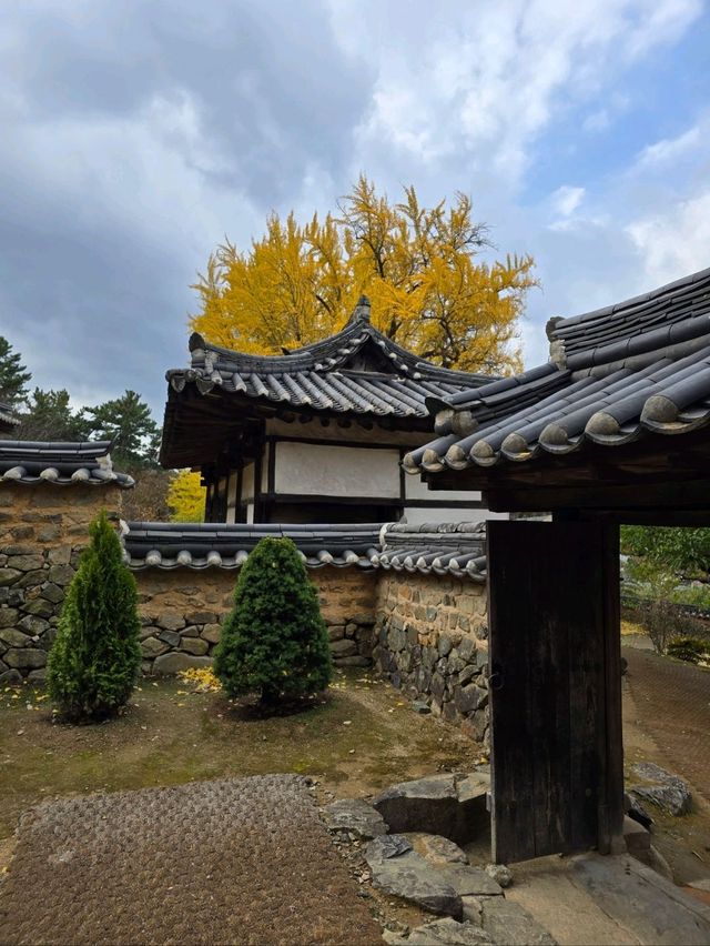 늦가을 즐기기 좋았던 밀양 금시당💛