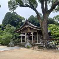 福岡太宰府、鬼滅之刃神社⛩️（寶滿宮竈門神社）