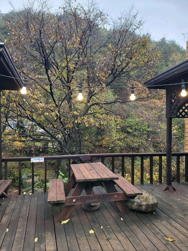 가을풍경이 아름다웠던 대관령 강릉카페🍁