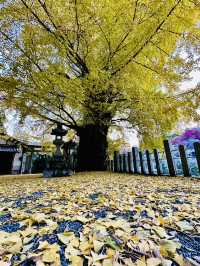【奈良　素盞雄神社】