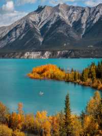 3 Reasons to Visit David Thompson Country in Alberta  