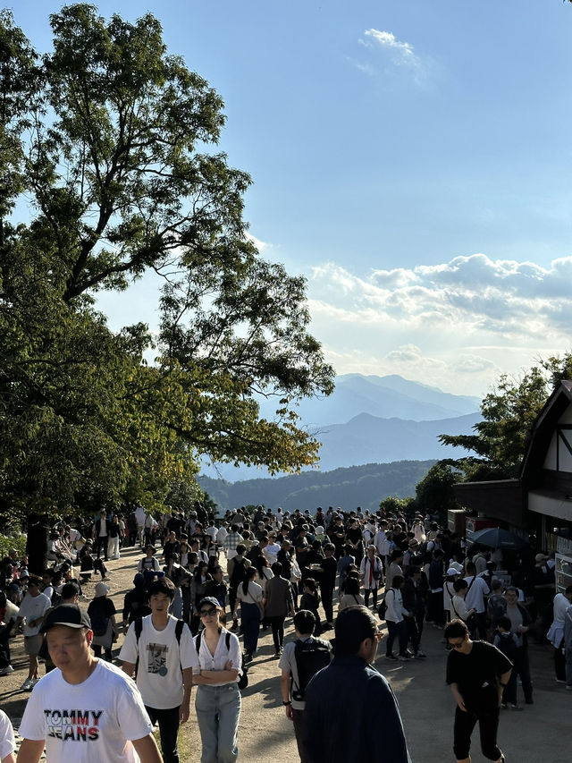 【東京近郊】高美山一日遊🌳玩盡纜車吊車🚡輕鬆登頂