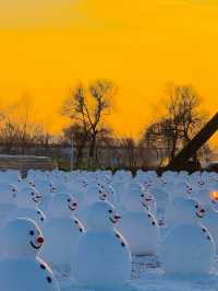 Sun Island (太阳岛): A Winter Wonderland in Harbin