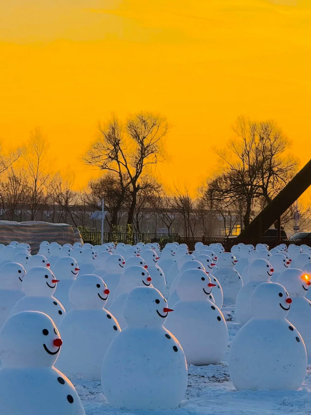 Sun Island (太阳岛): A Winter Wonderland in Harbin