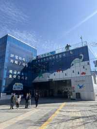 【韓国旅行】釜山 松島／ケーブルカーに乗って海の上を空中散歩