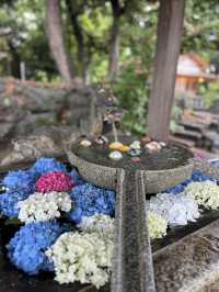 【群馬】花手水がとても綺麗!!御神水も頂ける神社