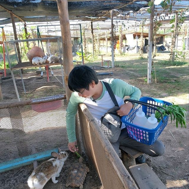 "ไร่ธันตะชา" สวนสัตว์ขนาดเล็ก 🌱อุตรดิตถ์
