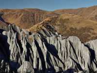 Flaring Rock Forest [Moshi Park in Autumn]