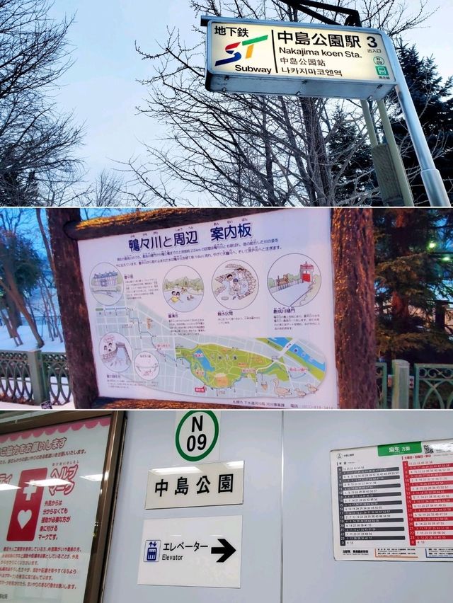 札幌市❄️中島公園❄️💙First Love💙初戀💙取景地
