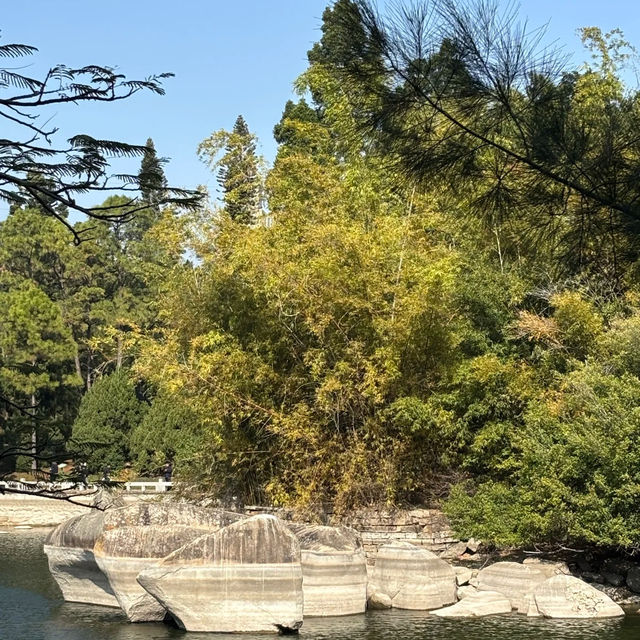 金灣金山公園：陽光下的自然☀️