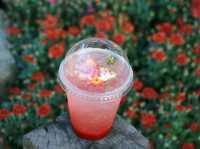 คาเฟ่สวนดอกไม้ Cakery 