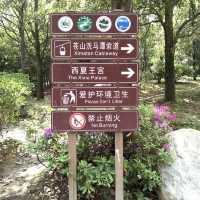 Ancient China Comes Alive: My Journey to Tianlongbabu Movie City