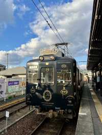 日本和歌山 貓站長貓列車貴志站🚃