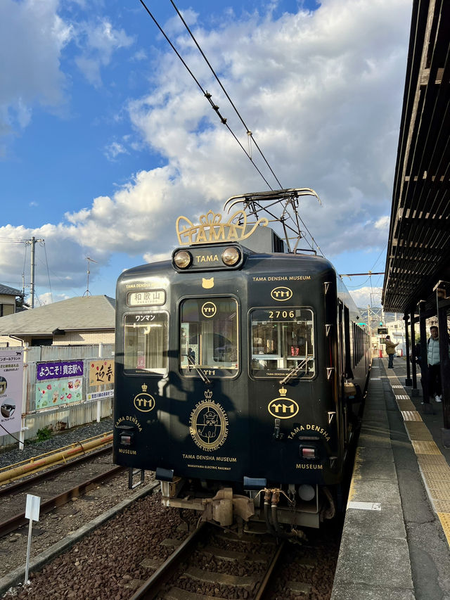 日本和歌山 貓站長貓列車貴志站🚃