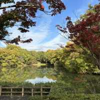 【岐阜観光】岐阜の自然を満喫できる絶景スポット