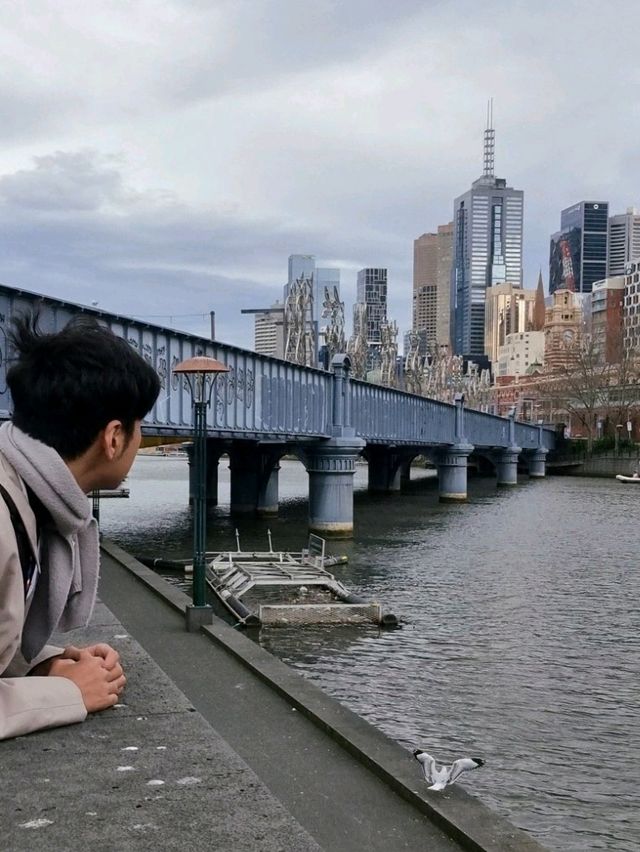 멜버른 아랴 강의 겨울시즌🇦🇺