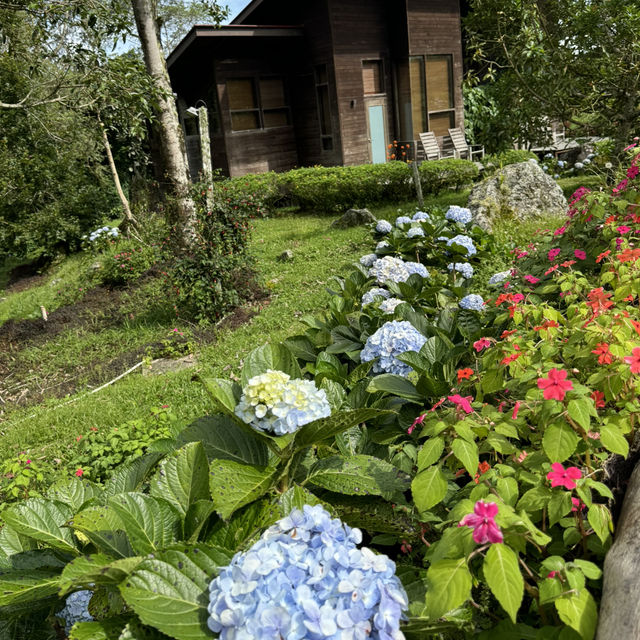 Malaysia’s Own New Zealand: Kundasang Escape🌸