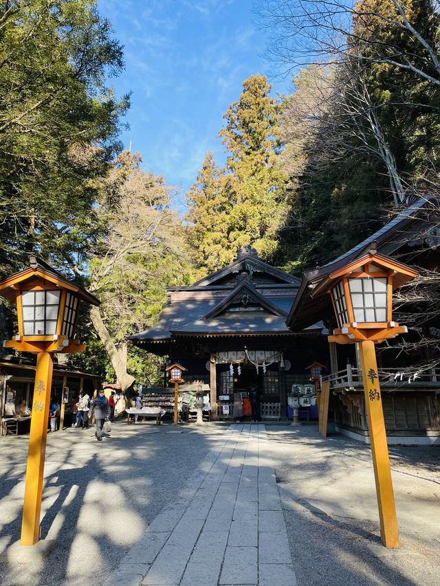 【山梨 冬の日帰り旅】富士山と五重塔の絶景 人気のスポット！