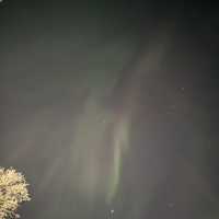 Catching Auroras 